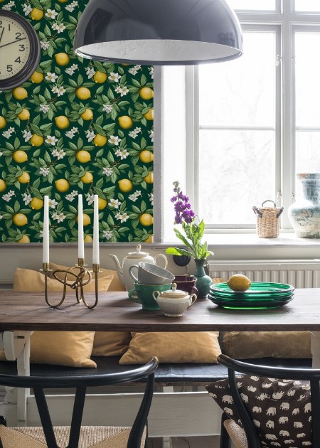 Image de Coloration - Clara Dark Green  - 1016202-02 - 04242-01